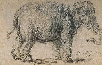 Elefante – REMBRANDT VAN RIJN