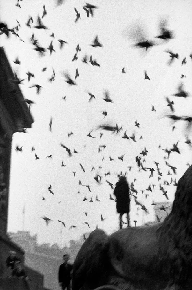Trafalgar Square, Londres, 1958-1959 – SERGIO LARRAÍN