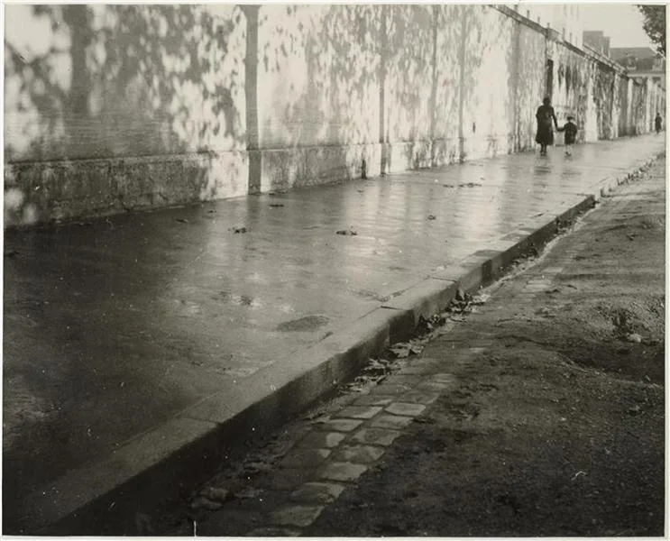 Después de la lluvia – DORA MAAR